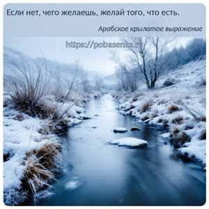 Если нет, чего желаешь, желай того, что есть.