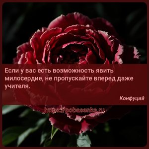 Если у вас есть возможность явить милосердие, не пропускайте вперед даже...