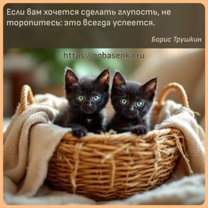 Если вам хочется сделать глупость, не торопитесь это всегда успеется.