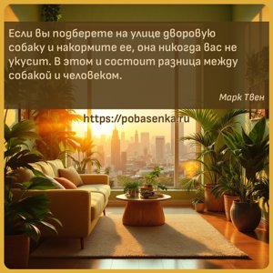 Если вы подберете на улице дворовую собаку и накормите ее, она никогда вас...