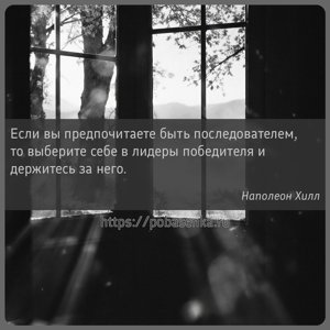 Если вы предпочитаете быть последователем, то выберите себе в лидеры...