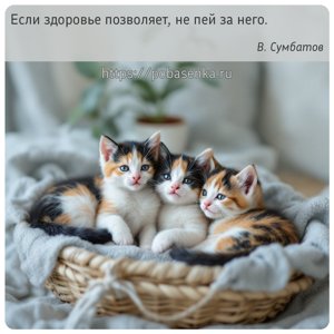 Если здоровье позволяет, не пей за него.