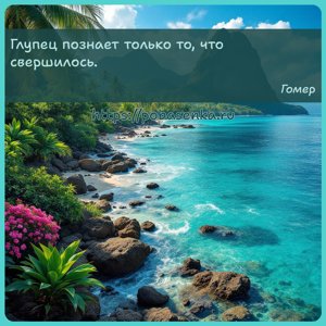 Глупец познает только то, что свершилось.