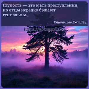 Глупость это мать преступления, но отцы нередко бывают гениальны.