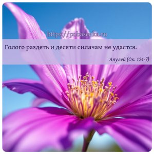 Голого раздеть и десяти силачам не удастся.