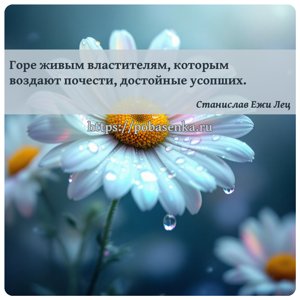 Горе живым властителям, которым воздают почести, достойные усопших.