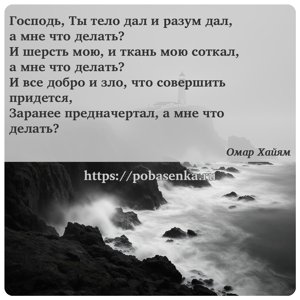 Господь, Ты тело дал и разум дал, а мне что делать? И шерсть мою, и ткань...