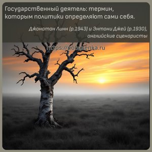 Государственный деятель термин, которым политики определяют сами себя.