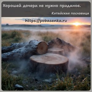 Хорошей дочери не нужно приданое.