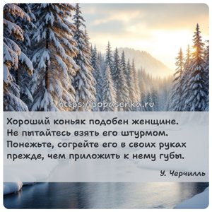 Хороший коньяк подобен женщине. Не пытайтесь взять его штурмом. Понежьте,...