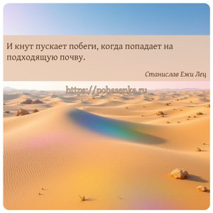 И кнут пускает побеги, когда попадает на подходящую почву.
