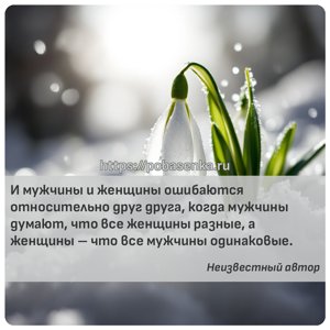 И мужчины и женщины ошибаются относительно друг друга, когда мужчины...