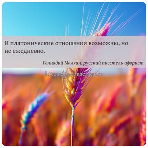И платонические отношения возможны, но не ежедневно.
