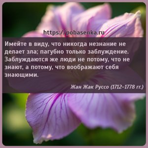 Имейте в виду, что никогда незнание не делает зла пагубно только...