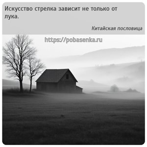 Искусство стрелка зависит не только от лука.