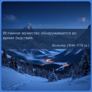 Истинное мужество обнаруживается во время бедствия.