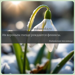 Ив вороньем гнезде рождаются фениксы.