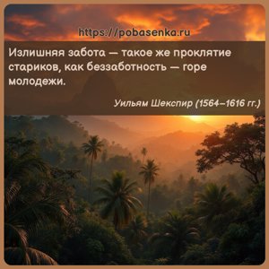 Излишняя забота такое же проклятие стариков, как беззаботность горе...
