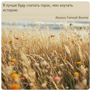 Я лучше буду считать горох, чем изучать историю.