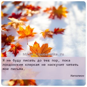 Я не буду писать до тех пор, пока лондонским клеркам не наскучит читать...