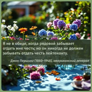 Я не в обиде, когда рядовой забывает отдать мне честь но он никогда не...