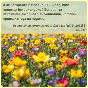 Я не встречал в Ирландии никого, кто понимал бы ирландский вопрос, за...