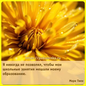 Я никогда не позволял, чтобы мои школьные занятия мешали моему образованию.
