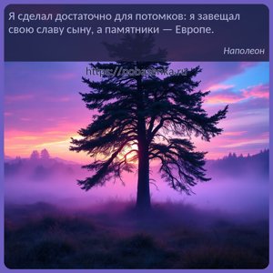 Я сделал достаточно для потомков я завещал свою славу сыну, а памятники...