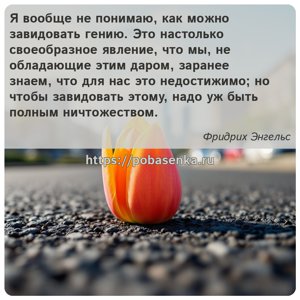 Я вообще не понимаю, как можно завидовать гению. Это настолько...