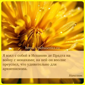Я взял с собой в Испанию де Прадта на войну с монахами на ней он вполне...