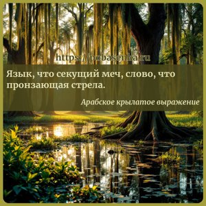 Язык, что секущий меч, слово, что пронзающая стрела.