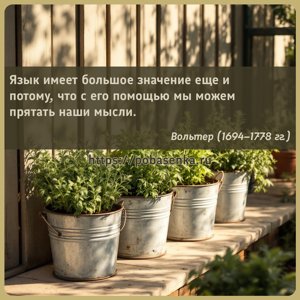 Язык имеет большое значение еще и потому, что с его помощью мы можем...