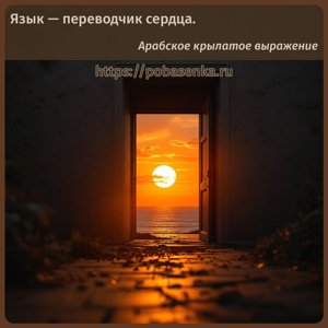 Язык переводчик сердца.