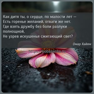 Как дитя ты, о сердце, по малости лет Есть горенье желаний, отваги же нет....