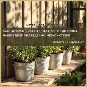 Как ни обманчива надежда, все же до конца наших дней она ведет нас легкой...