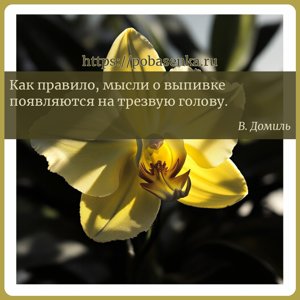 Как правило, мысли о выпивке появляются на трезвую голову.