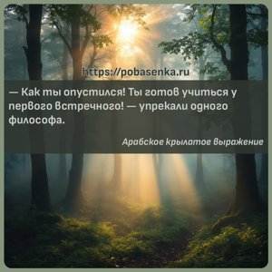 Как ты опустился Ты готов учиться у первого встречного упрекали одного...