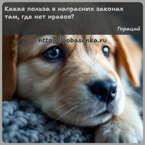Какая польза в напрасных законах там, где нет нравов?