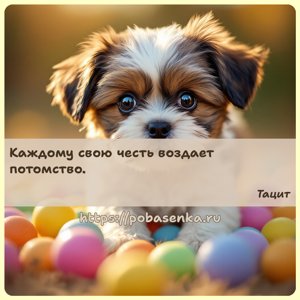 Каждому свою честь воздает потомство.