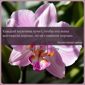 Каждый мужчина хочет, чтобы его жена выглядела хорошо, но не слишком...
