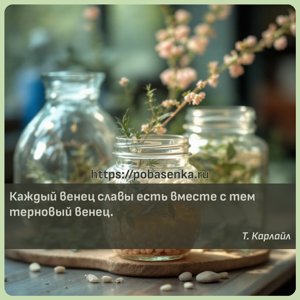 Каждый венец славы есть вместе с тем терновый венец.
