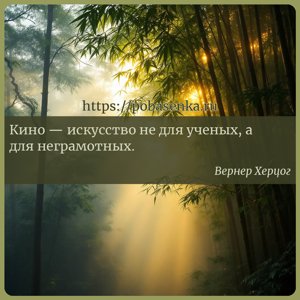 Кино искусство не для ученых, а для неграмотных.