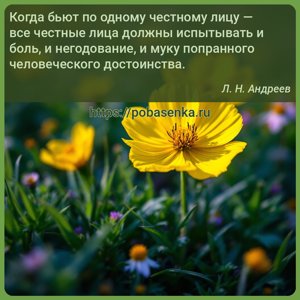 Когда бьют по одному честному лицу все честные лица должны испытывать и...