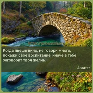 Когда пьешь вино, не говори много, покажи свое воспитание, иначе в тебе...