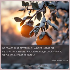 Когда собаке грустно, она воет, когда ей весело, она виляет хвостом, когда...