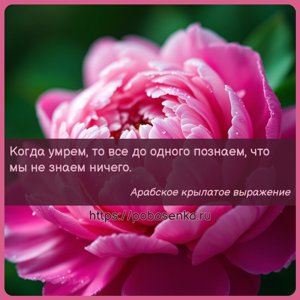 Когда умрем, то все до одного познаем, что мы не знаем ничего.