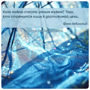 Кого можно счесть умным мужем? Того, кто стремится лишь к достижимой цели.