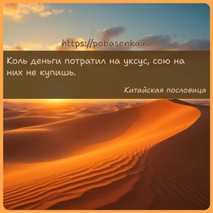 Коль деньги потратил на уксус, сою на них не купишь.