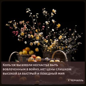 Коль уж вы имели несчастье быть вовлеченным в войну, нет цены слишком...