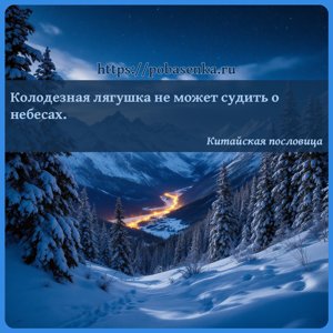 Колодезная лягушка не может судить о небесах.